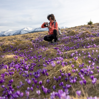 The Carpathian: Spring in Yaremche