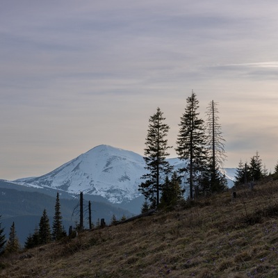 The Carpathian: Spring in Yaremche