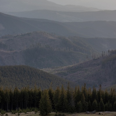 The Carpathian: Spring in Yaremche