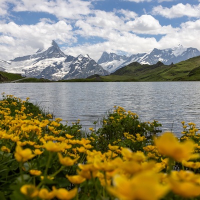 Switzerland: Alps