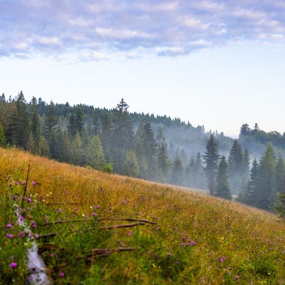 The Carpathian: Summer