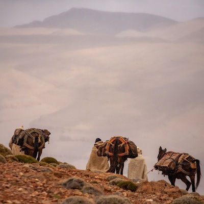 Morocco by bicycle