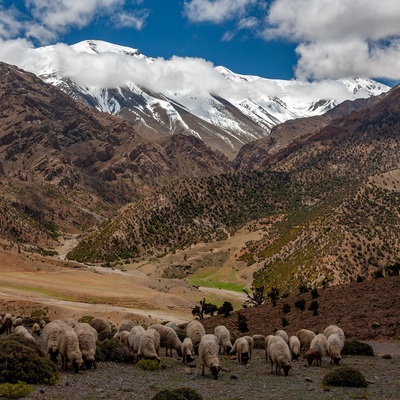 Morocco by bicycle