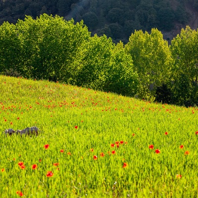 Morocco by bicycle