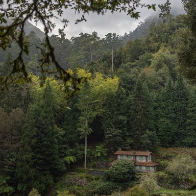 Portugal: Madeira