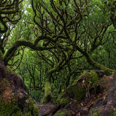 Portugal: Madeira